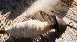 La Lana de Cashmere es muy apreciada por tener una mayor capacidad térmica, se encuentra en las ovejas de la región de Cashmere.